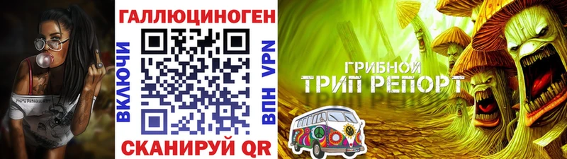 kraken как зайти  Архангельск  Галлюциногенные грибы Cubensis 